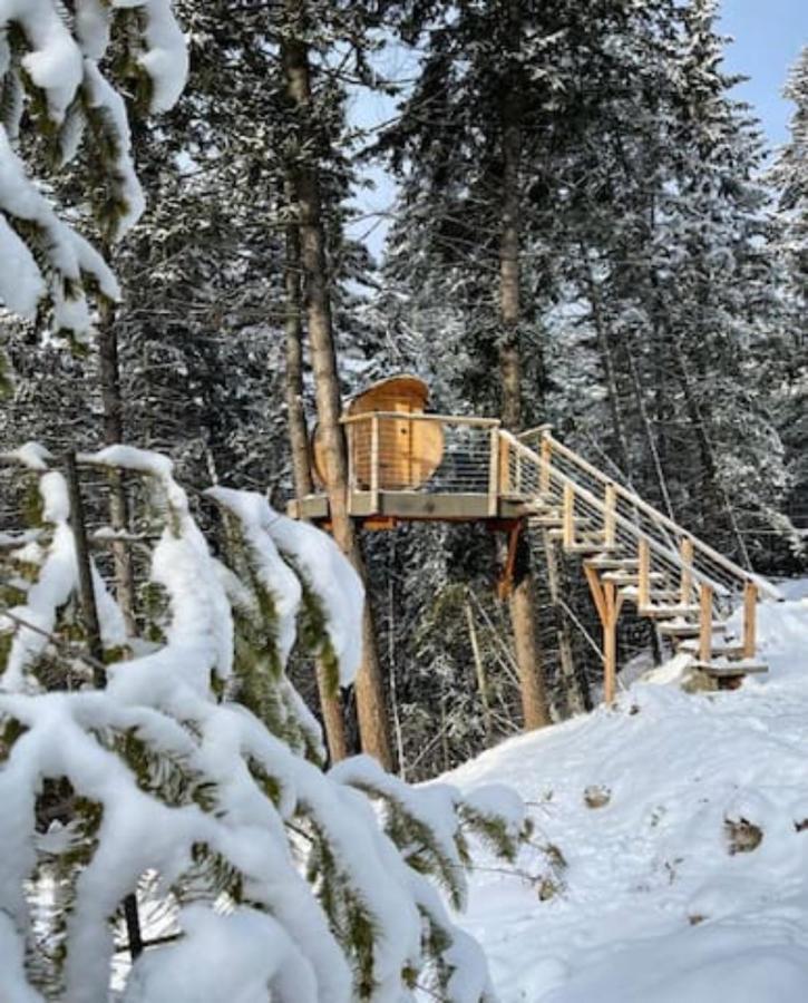 Golden Tiny Homes Ngoại thất bức ảnh